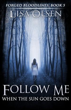 Cover of the book Follow Me When the Sun Goes Down by Sydney M. Cooper