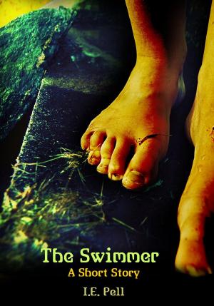 Book cover of The Swimmer (A Short Story)