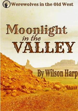 Cover of the book Moonlight in the Valley by Andrew Barrett