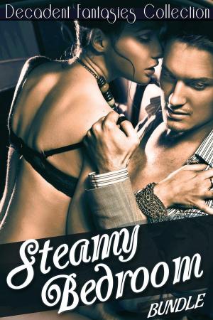 Cover of the book Steamy Bedroom Bundle (Gay Cowboy, Cheating, Babysitter Fantasy) by Decadent Fantasies Collection