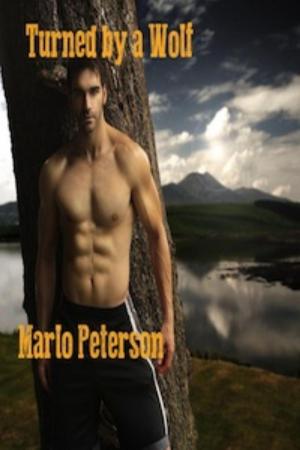 Cover of the book Turned by a Wolf by Marlo Peterson