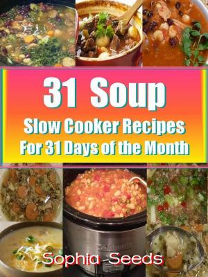 Book cover of 31 Soup Slow Cooker Recipes - For 31 Days of the Month
