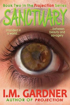 Cover of the book Sanctuary by CP Bialois