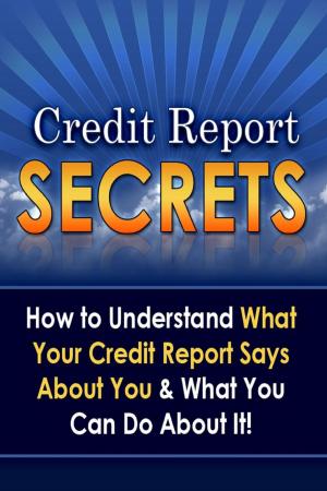 Cover of Credit Report Secrets: How to Understand What Your Credit Report Says About You and What You Can Do About It!
