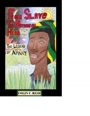 Cover of the book From Slave to National Hero! by Christophe