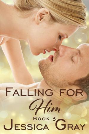 bigCover of the book Falling for Him 3 by 