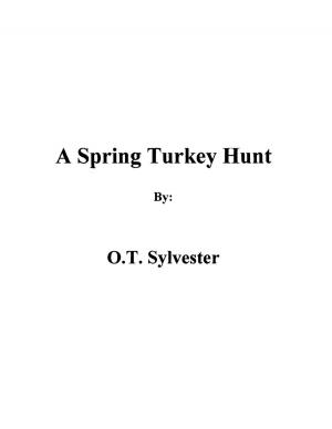 Cover of the book A Spring Turkey Hunt by Daryl Brown, Michael P. Chabries