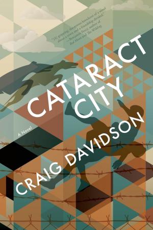 Cover of the book Cataract City by Susan Steinberg