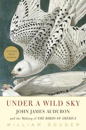 Book cover of Under a Wild Sky