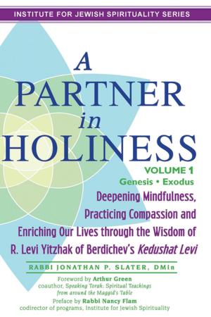 Book cover of A Partner in Holiness Vol 1