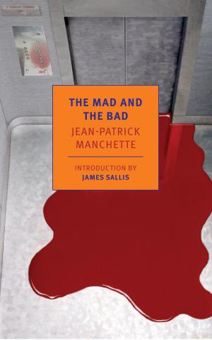 Cover of the book The Mad and the Bad by Barbara Comyns