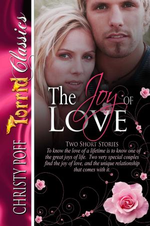 Cover of the book The Joy Of Love by C.A Salo