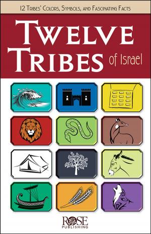 Cover of the book The Twelve Tribes of Israel by Paul Carden, Christy Darlington