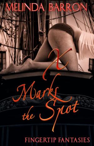 Cover of the book X Marks the Spot by Melinda Barron