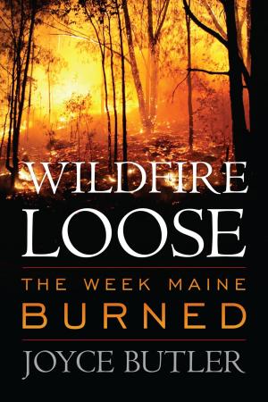 bigCover of the book Wildfire Loose by 