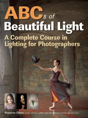 bigCover of the book ABCs of Beautiful Light by 