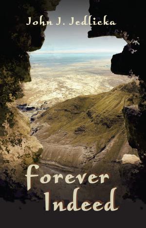 Cover of the book Forever Indeed by Gloria Ludlam Bennett
