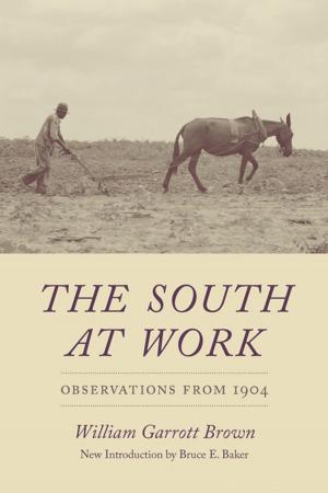 Cover of the book The South at Work by Brian Gabrial