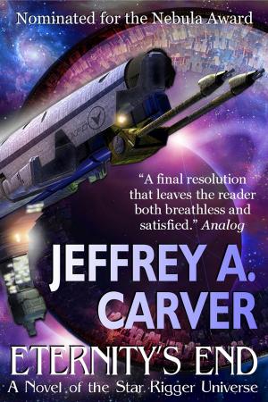 Cover of the book Eternity's End by Jeffrey A. Carver
