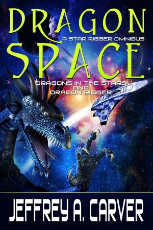 Book cover of Dragon Space