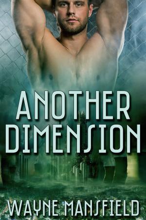 Cover of the book Another Dimension by Joann Lee