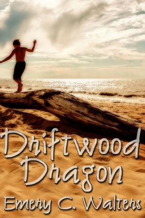 bigCover of the book Driftwood Dragon by 