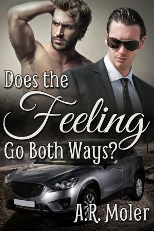 Book cover of Does the Feeling Go Both Ways?