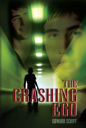 Cover of the book The Crashing Ego by Uta Christensen