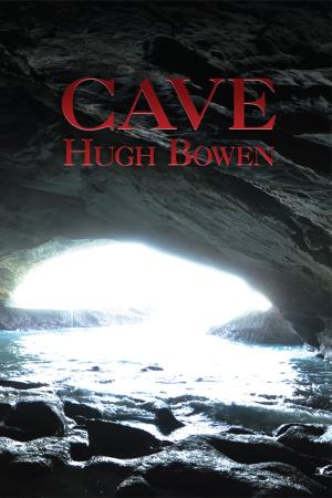 Cover of the book Cave by E.R. Winstanley
