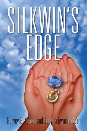 Cover of the book Silkwin's Edge by PaulV. Suffriti