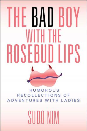 Cover of the book The Bad Boy With The Rosebud Lips by Andre Palmer