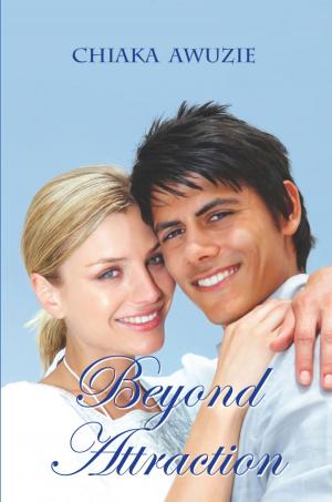 Cover of the book Beyond Attraction by Lisa Stalvey