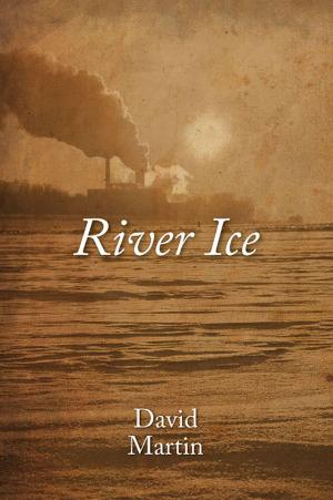Cover of the book River Ice by Andre Palmer
