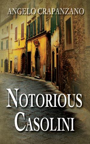 Book cover of Notorious Casolini