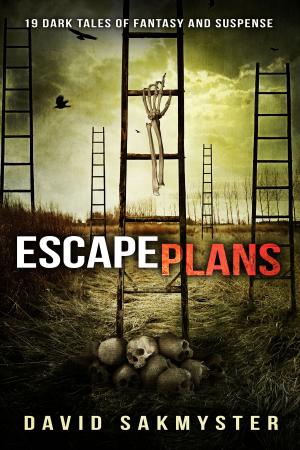 bigCover of the book Escape Plans by 
