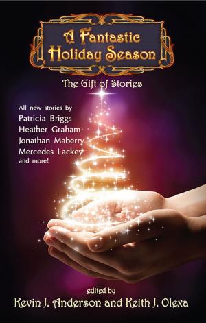 Cover of the book A Fantastic Holiday Season by Victoria Leigh