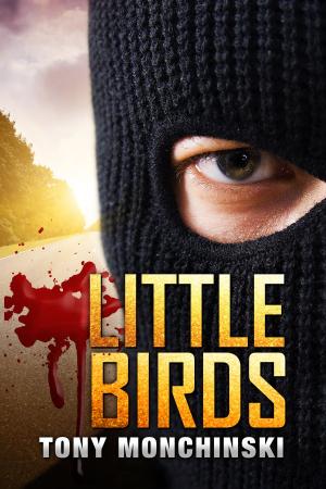 Cover of the book Little Birds by Daniel Cotton