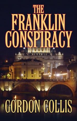 Cover of the book The Franklin Conspiracy by Kerri J. Busteed