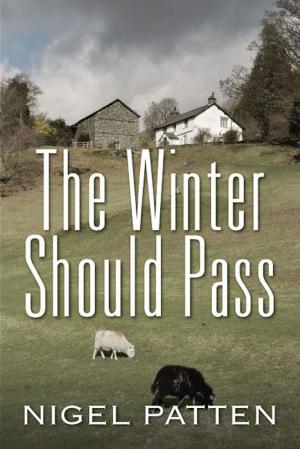 Cover of the book The Winter Should Pass by Kerri J. Busteed