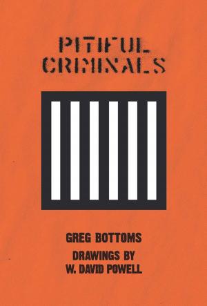 Book cover of Pitiful Criminals