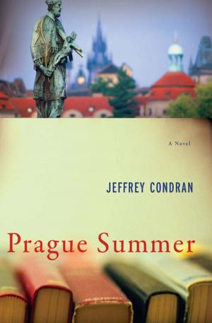 Book cover of Prague Summer