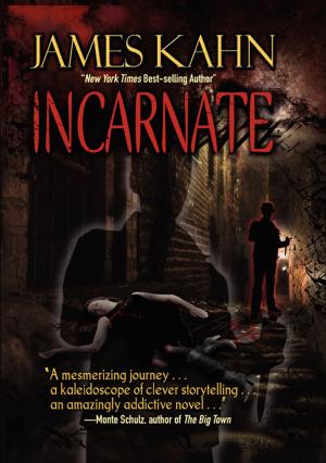 Cover of the book INCARNATE by eddie paul
