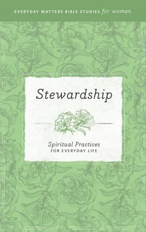 Book cover of Everyday Matters Bible Studies for Women—Stewardship
