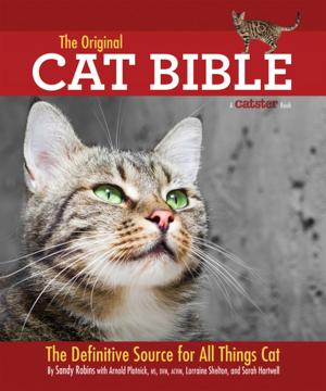 Book cover of The Original Cat Bible