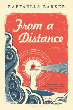 Cover of the book From a Distance by Rhidian Jones