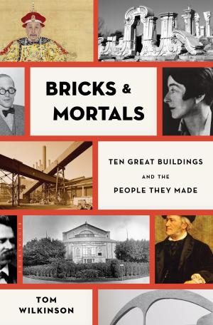 Cover of the book Bricks & Mortals by Marta Iljadica