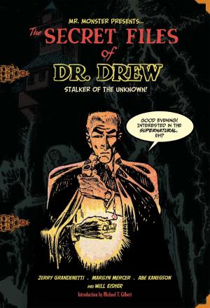 Cover of the book The Secret Files of Dr. Drew by Matt Kindt