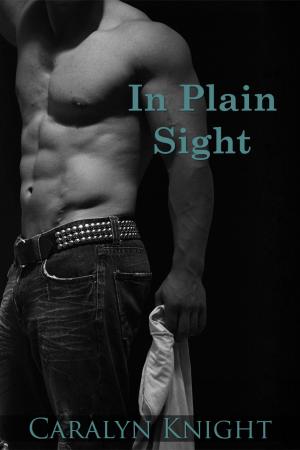 Cover of the book In Plain Sight by Caralyn Knight