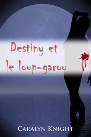 Cover of the book Destiny et le loup-garou by Bob Bemaeker