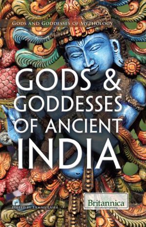 bigCover of the book Gods & Goddesses of Ancient India by 